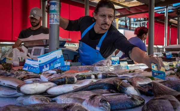 Où acheter le poisson à Nice ?
