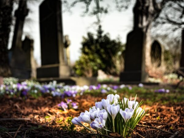 Comment choisir et réserver une place au cimetière