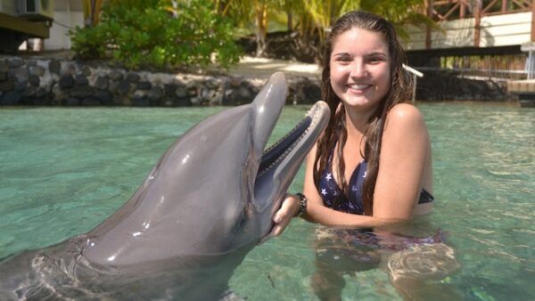 Une journée avec les dauphins : Votre prochaine aventure aquatique
