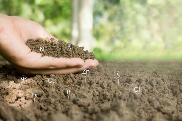 Analyse de la qualité du sol pour la remédiation des sols pollués : enjeux et méthodologies